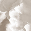 poesiebrauchtschmerz avatar