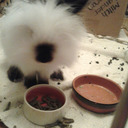 poesnaiier666 avatar