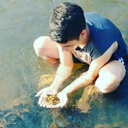 poeta-ausente avatar