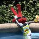 poeta-siempre avatar