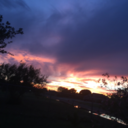 poetic-dandelion avatar