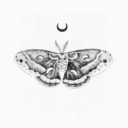 poetic-distortions avatar