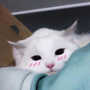 poetic-inspirations-blog avatar