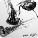 poeticjellyfish avatar