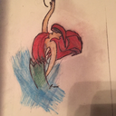 poeticwasteland avatar