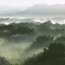 poetry-by-lex avatar