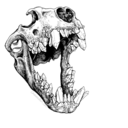 poetry-incarnate avatar