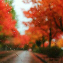 poetryandstories avatar