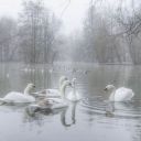 poetryandthoughts avatar