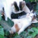 pohtawatsdat-blog avatar