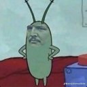 pointforsquids avatar