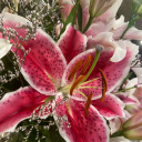 pointless-thinking avatar