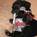 poisonedboyfie avatar