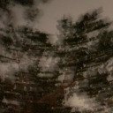 poisonedmoonlight avatar