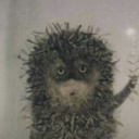 poisonedwithrainbows2 avatar