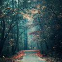 poisonintherain avatar