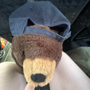 poisonous-shrub avatar