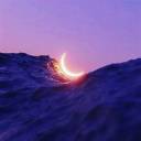 poisonpetal-stan avatar