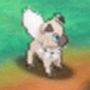 pokemonthingsandstuff avatar