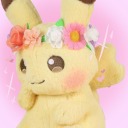 pokeplushiecenter avatar