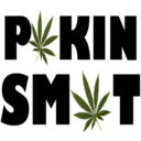 pokin-smot avatar