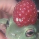 polarfrogss-blog avatar