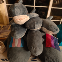 polarislovesblahaj avatar