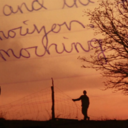 polarizeponyboy avatar