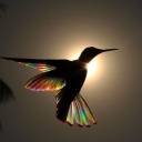 politelydisinterested avatar