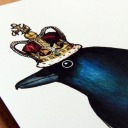 political-pie avatar