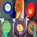 politicalrosettes avatar