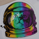 polkadockrock avatar