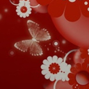 polkapolly-blog avatar