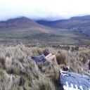 pollo-con-vodka avatar