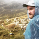 pollosfunland avatar