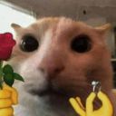 polls-for-blorbos avatar