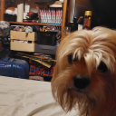 pollyisgorgeous avatar