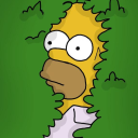 pollypocket6890 avatar