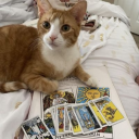 pollyprouvaire avatar