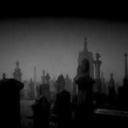 pollythepolitic avatar