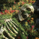 polyestermonster avatar