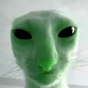 polymerressurection avatar