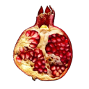 pomegranate-stain avatar