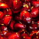 pomegranatetales avatar