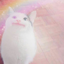 pompompompompompompompompompom avatar