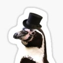 pompous-puffed-up-penguin avatar