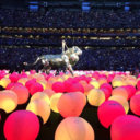 ponchopie avatar