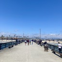 ponderingrandomthings avatar