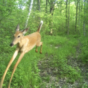 pondersonderyonder avatar