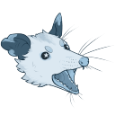 pondpossum avatar